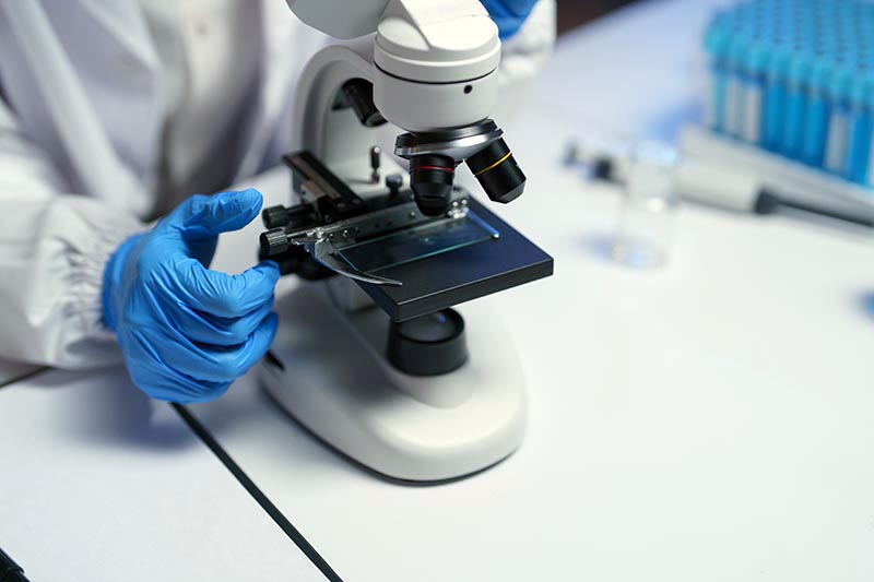 A researcher in a lab coat and blue gloves adjusts a microscope containing a glass slide on a white countertop.